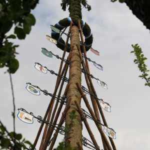 Image maibaum